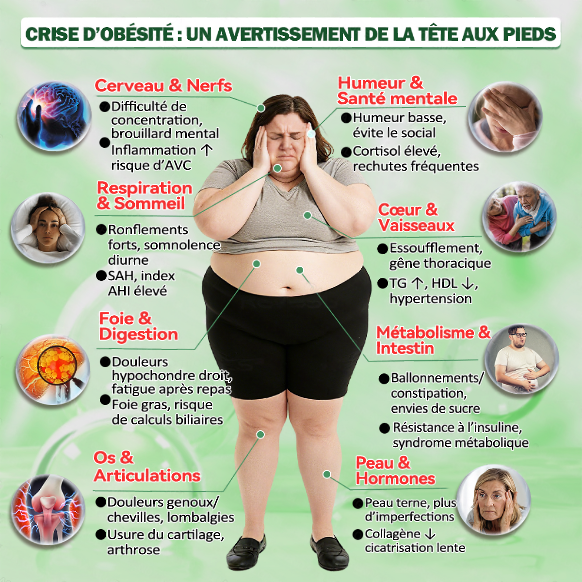 🔥 Nouveauté | Patch Purelora® 10-en-1 aux nanomicroneedles : Berbérine, Vinaigre de cidre et EGCG — Brûle les graisses tenaces • Réduit les rides • Favorise le confort articulaire (Résultats visibles en seulement 7 jours)