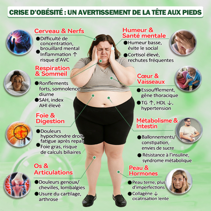 🔥 Nouveauté | Patch Purelora® 10-en-1 aux nanomicroneedles : Berbérine, Vinaigre de cidre et EGCG — Brûle les graisses tenaces • Réduit les rides • Favorise le confort articulaire (Résultats visibles en seulement 7 jours)