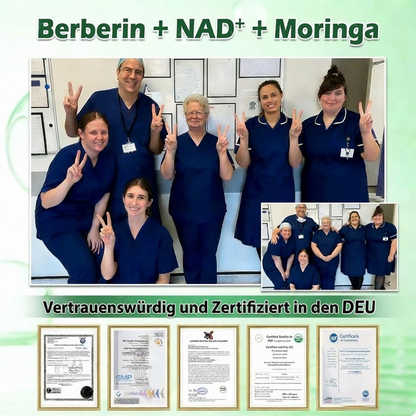 💖𝑶𝒏𝒍𝒊𝒏𝒆-𝑨𝒑𝒐𝒕𝒉𝒆𝒌𝒆💖丨Purelora® Moringa Berberine x NAD+ 20-in-1 Nano-Mikronadel-Patch (Nur einmal täglich, sichtbare Veränderungen in 7 Tagen) ✅ Für Übergewicht, lockere Haut, Diabetes, Schlafapnoe, Gelenkprobleme und mehr