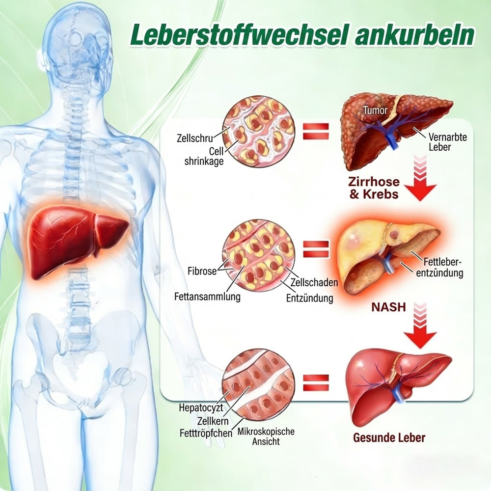 🔥 Offizieller Bestseller丨Purelora® Moringa Berberine NAD+ 10-in-1 Nano-Mikronadel-Patch (Nur einmal täglich, sichtbare Veränderungen in 7 Tagen) ✅ Für Übergewicht, lockere Haut, Diabetes, Schlafapnoe, Gelenkprobleme und mehr