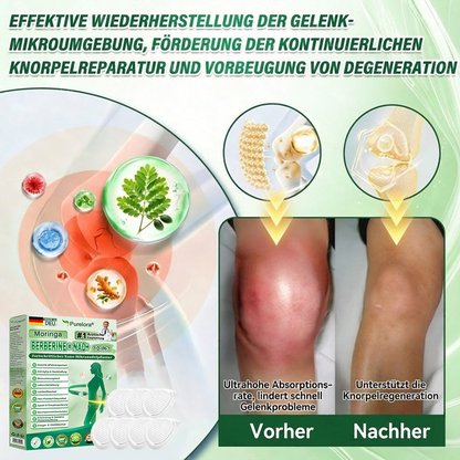 🔥 Offizieller Bestseller丨Purelora® Moringa Berberine NAD+ 10-in-1 Nano-Mikronadel-Patch (Nur einmal täglich, sichtbare Veränderungen in 7 Tagen) ✅ Für Übergewicht, lockere Haut, Diabetes, Schlafapnoe, Gelenkprobleme und mehr