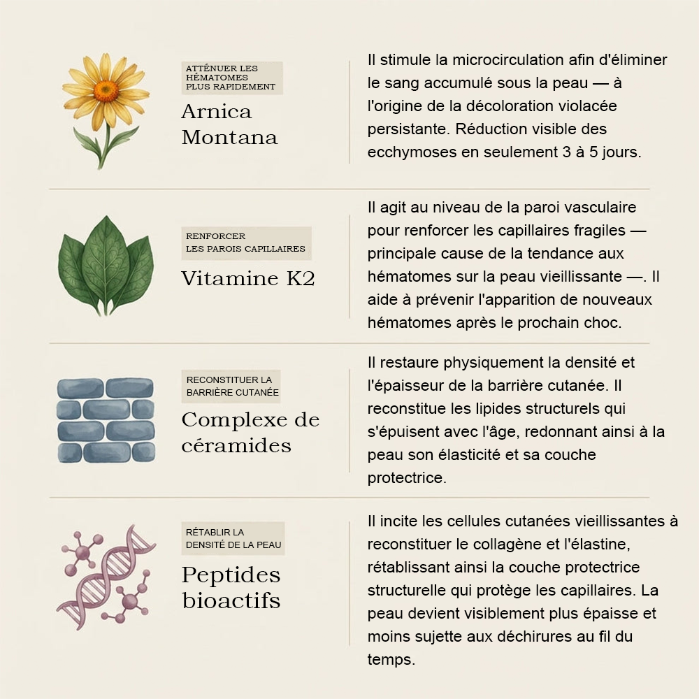 💥Plus de 100 000 unités vendues💕 - Crème PURELORA® pour réparer les bleus et renforcer la peau
